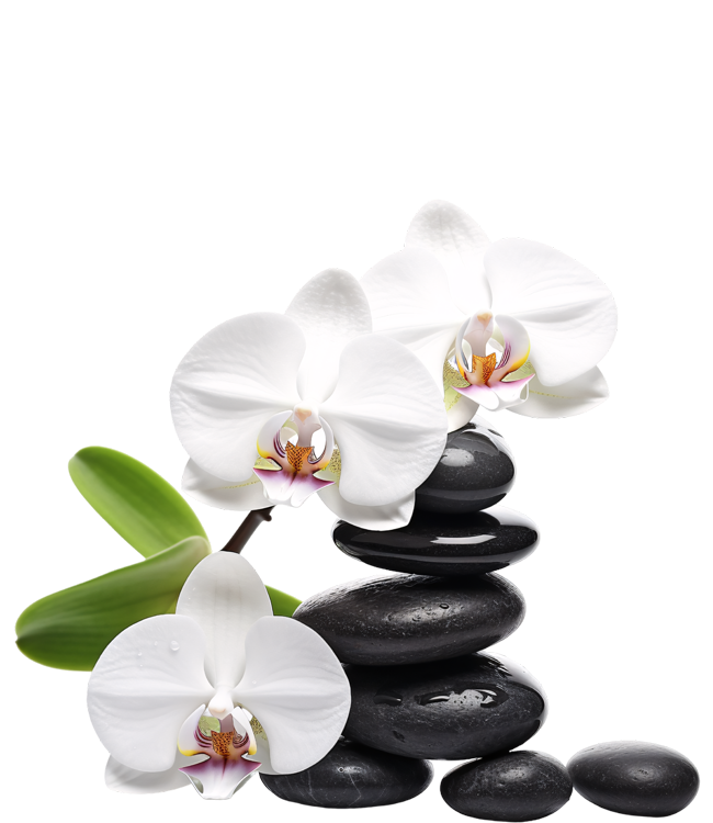 Composition avec orchidées et pierres noires de massage bien-être